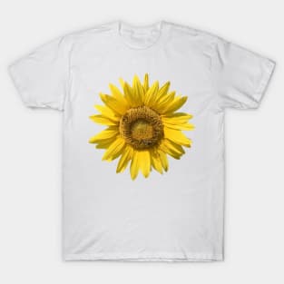 Sunflower with Bee T-Shirt